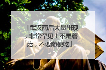 武汉雨后大量出现，非常罕见！不是蘑菇，不要随便吃
