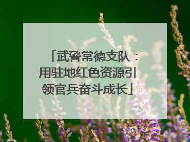 武警常德支队：用驻地红色资源引领官兵奋斗成长
