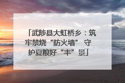 武陟县大虹桥乡：筑牢禁烧“防火墙” 守护夏粮好“丰”景
