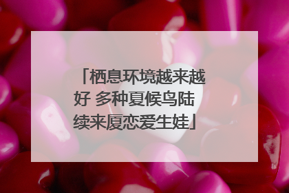 栖息环境越来越好 多种夏候鸟陆续来厦恋爱生娃