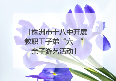 株洲市十八中开展教职工子弟“六一”亲子游艺活动