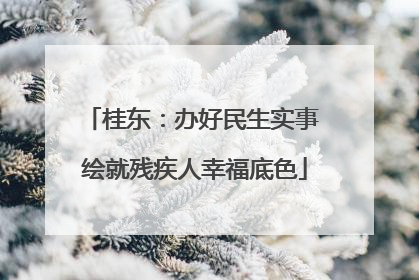 桂东：办好民生实事 绘就残疾人幸福底色