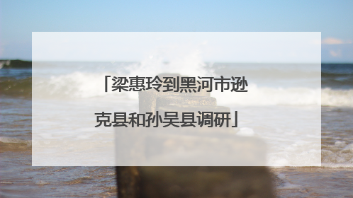 梁惠玲到黑河市逊克县和孙吴县调研