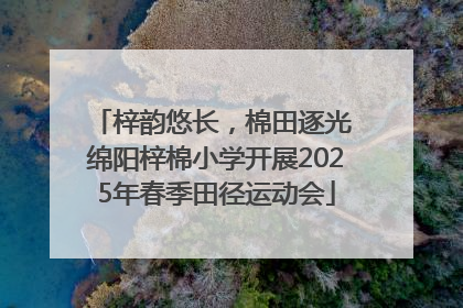 梓韵悠长，棉田逐光 绵阳梓棉小学开展2025年春季田径运动会