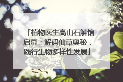 植物医生高山石斛馆启幕：解码仙草奥秘，践行生物多样性发展