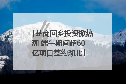 楚商回乡投资掀热潮 端午期间超60亿项目签约湖北
