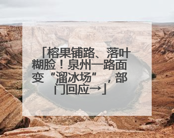 榕果铺路、落叶糊脸！泉州一路面变“溜冰场”，部门回应→
