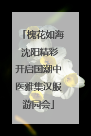 槐花如海 沈阳精彩开启国潮中医雅集汉服游园会