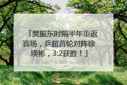樊振东时隔半年重返赛场，乒超首轮对阵徐瑛彬，3:2获胜！