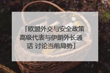 欧盟外交与安全政策高级代表与伊朗外长通话 讨论当前局势