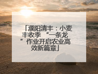 濮阳清丰：小麦丰收季 “一条龙”作业开启农业高效新篇章