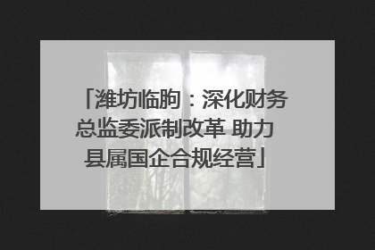 潍坊临朐：深化财务总监委派制改革 助力县属国企合规经营