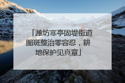 潍坊寒亭固堤街道图斑整治零容忍，耕地保护见真章