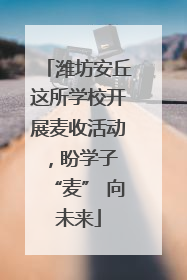 潍坊安丘这所学校开展麦收活动，盼学子 “麦” 向未来