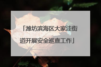 潍坊滨海区大家洼街道开展安全巡查工作