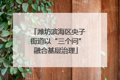 潍坊滨海区央子街道以“三个问”融合基层治理