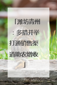 潍坊青州：多措并举打通销售渠道助农增收