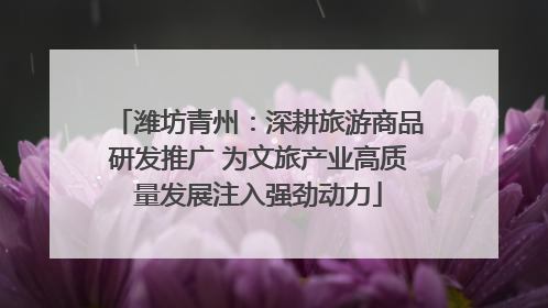 潍坊青州：深耕旅游商品研发推广 为文旅产业高质量发展注入强劲动力