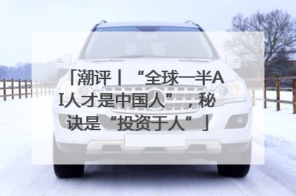 潮评丨“全球一半AI人才是中国人”，秘诀是“投资于人”