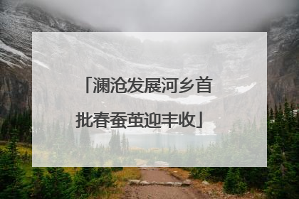 澜沧发展河乡首批春蚕茧迎丰收