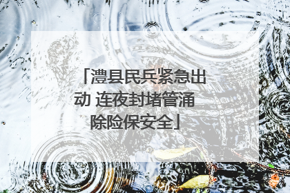 澧县民兵紧急出动 连夜封堵管涌除险保安全
