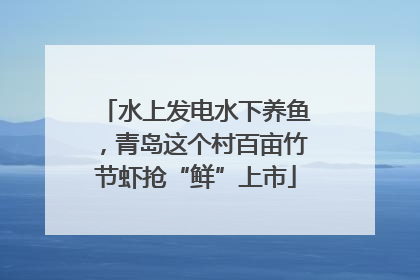 水上发电水下养鱼，青岛这个村百亩竹节虾抢“鲜”上市