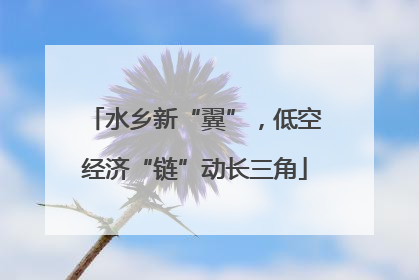 水乡新“翼”，低空经济“链”动长三角