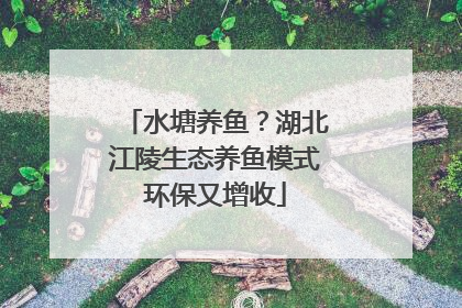 水塘养鱼？湖北江陵生态养鱼模式环保又增收