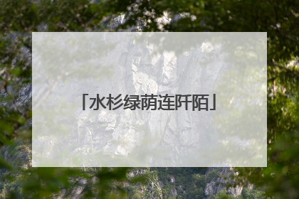 水杉绿荫连阡陌