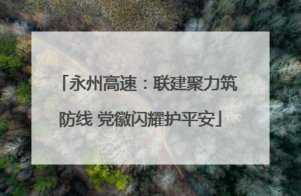 永州高速：联建聚力筑防线 党徽闪耀护平安