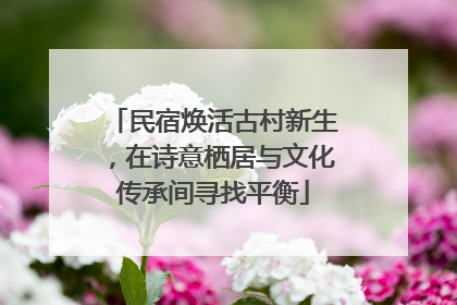民宿焕活古村新生，在诗意栖居与文化传承间寻找平衡