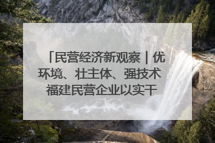 民营经济新观察｜优环境、壮主体、强技术 福建民营企业以实干担当聚势谋进