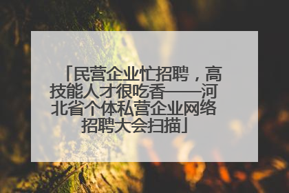 民营企业忙招聘，高技能人才很吃香——河北省个体私营企业网络招聘大会扫描