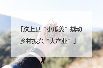 汶上县“小瓜蒌”撬动乡村振兴“大产业”