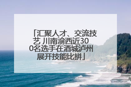 汇聚人才、交流技艺 川南渝西近300名选手在酒城泸州展开技能比拼