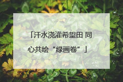 汗水浇灌希望田 同心共绘“绿画卷”