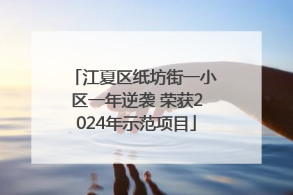 江夏区纸坊街一小区一年逆袭 荣获2024年示范项目