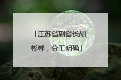 江苏省副省长胡彬郴，分工明确
