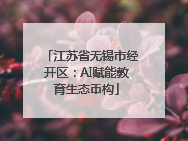 江苏省无锡市经开区：AI赋能教育生态重构