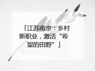 江苏南京：乡村新职业，激活“希望的田野”