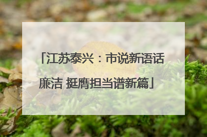 江苏泰兴：市说新语话廉洁 挺膺担当谱新篇