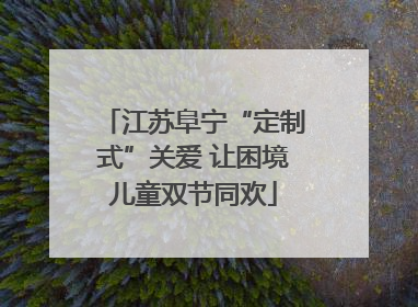 江苏阜宁“定制式”关爱 让困境儿童双节同欢