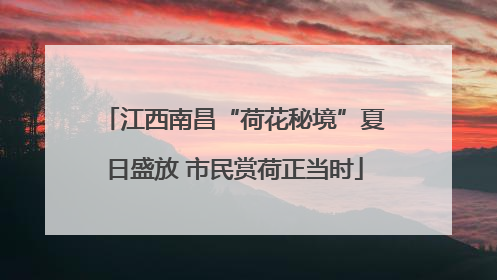 江西南昌“荷花秘境”夏日盛放 市民赏荷正当时