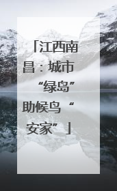 江西南昌：城市“绿岛”助候鸟“安家”