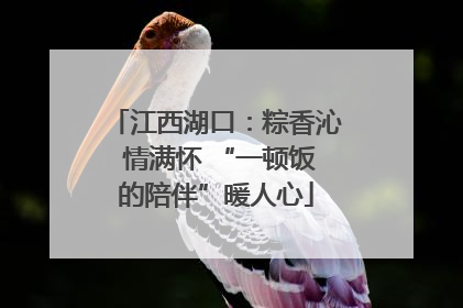 江西湖口：粽香沁 情满怀 “一顿饭的陪伴”暖人心