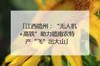 江西赣州：“无人机+高铁”助力赣南农特产“飞”出大山