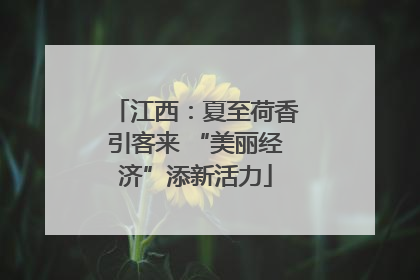江西：夏至荷香引客来 “美丽经济”添新活力