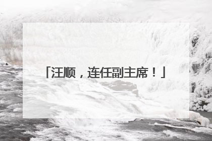 汪顺，连任副主席！