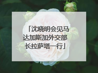 沈晓明会见马达加斯加外交部长拉萨塔一行