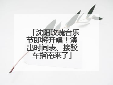 沈阳玫瑰音乐节即将开唱！演出时间表、接驳车指南来了